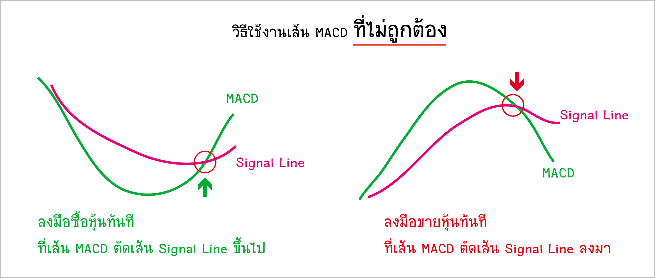 MACD ถ้าอยากใช้ ต้องรู้อะไรบ้าง?