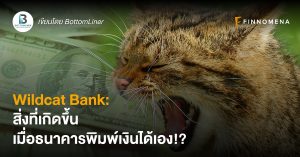 Wildcat Bank: สิ่งที่เกิดขึ้น เมื่อธนาคารพิมพ์เงินได้เอง!?