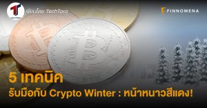 5 เทคนิค รับมือกับ Crypto Winter : หน้าหนาวสีแดง!