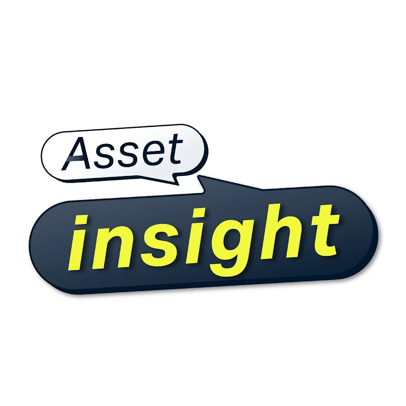 Asset Insight